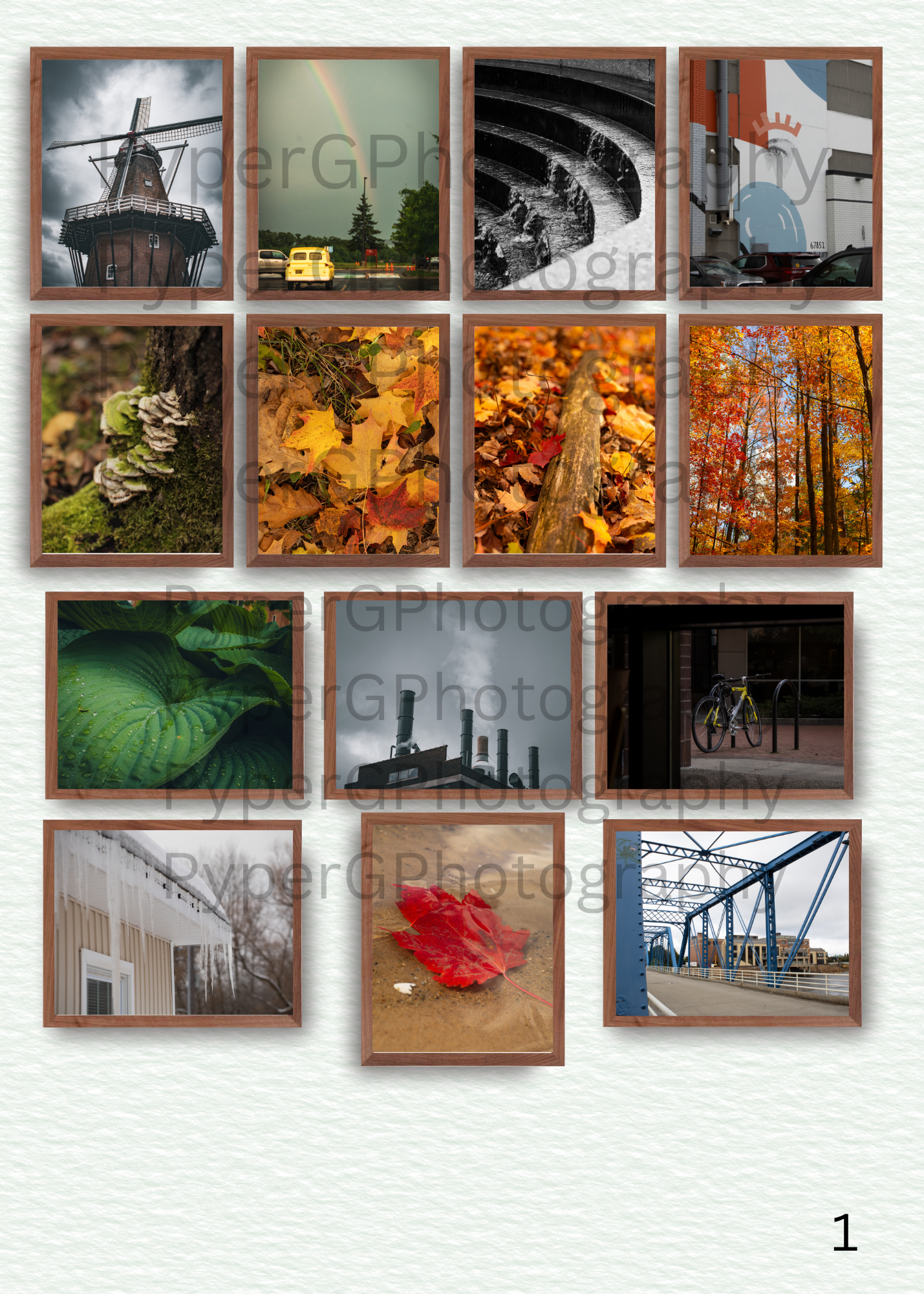 Photography unframed print 8”X10” By:PyperGPhotography